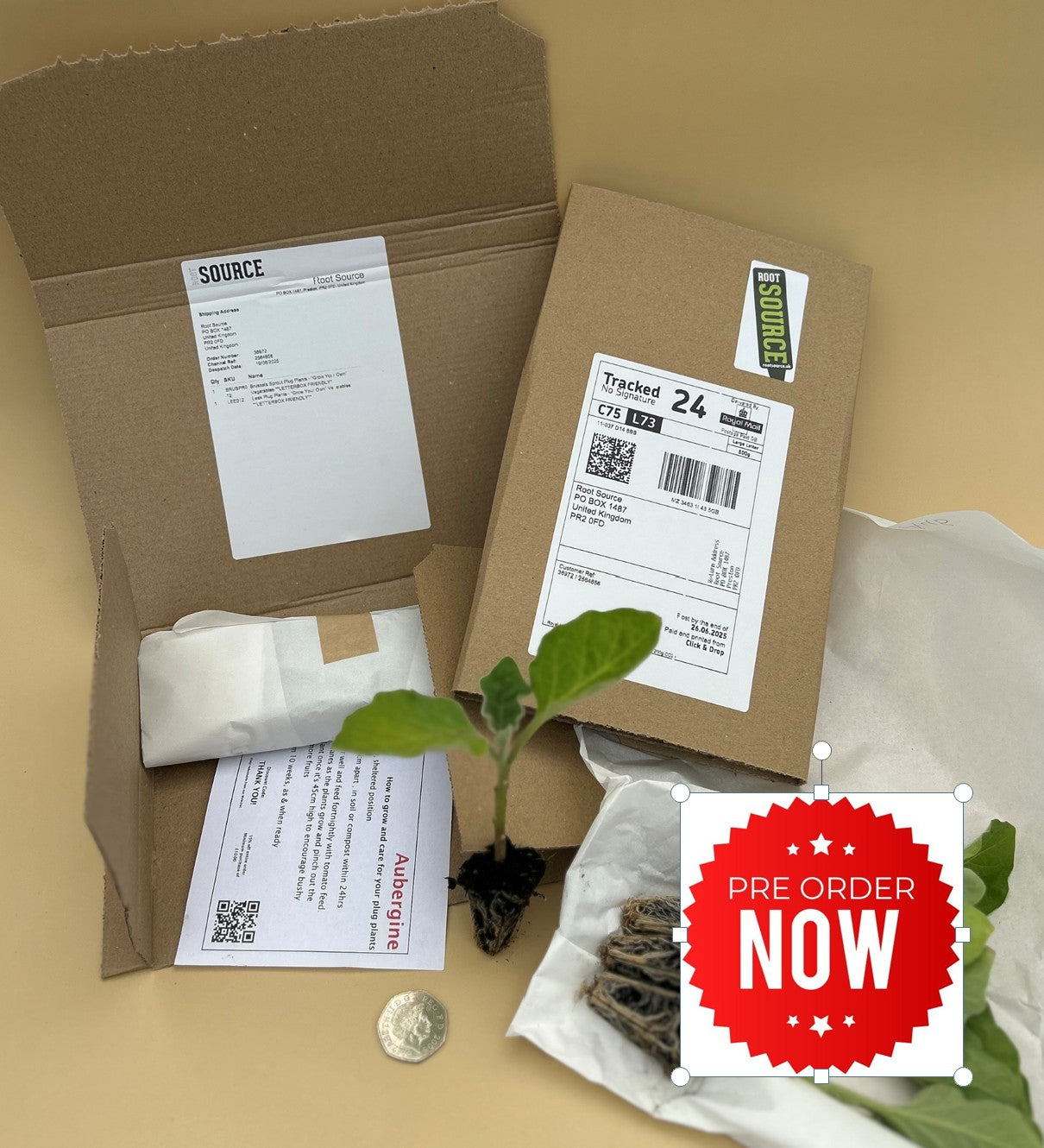 PRE-ORDER 10% OFF - Green Kale Plug Plants "Grow Your Own" Vegetables **Letterbox Friendly**