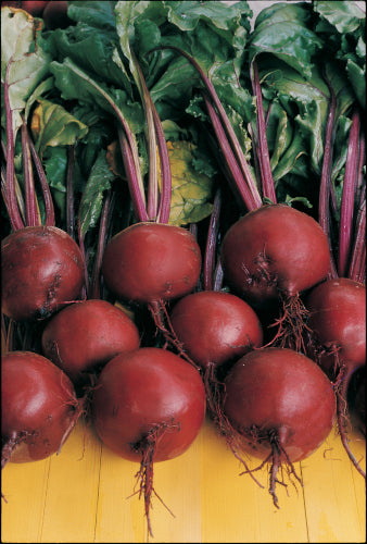 Weekly Subscription Box "Grow Your Own" Plug Plants Vegetables