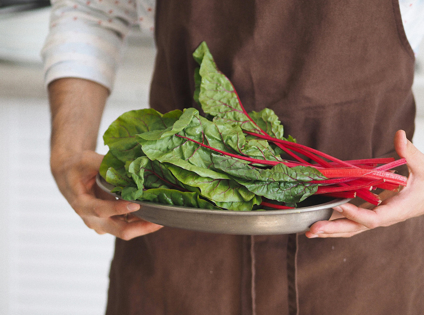 Swiss Chard Red Plug Plants "Grow Your Own" Vegetables **Letterbox Friendly**