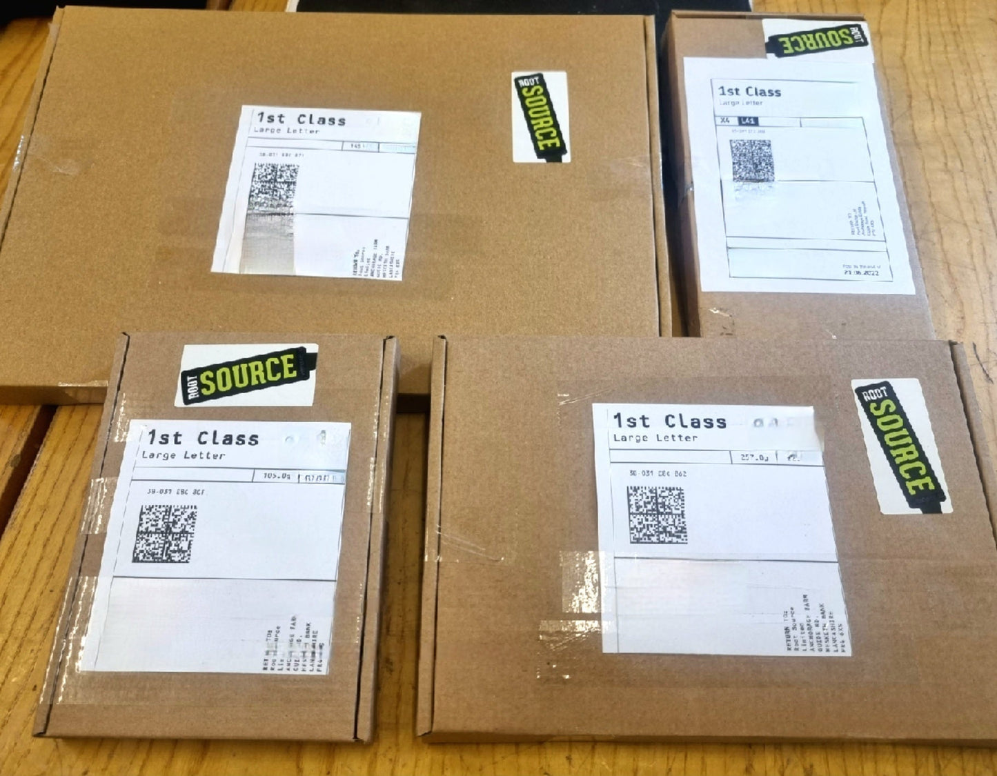 Cabbage Plug Plants MIXED PACK "Grow Your Own" Vegetables 'Ready to Plant Now' Young Vegetable Plants **Letterbox Friendly**