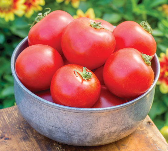 Monthly Subscription Box "Grow Your Own" Plug Plants Vegetables