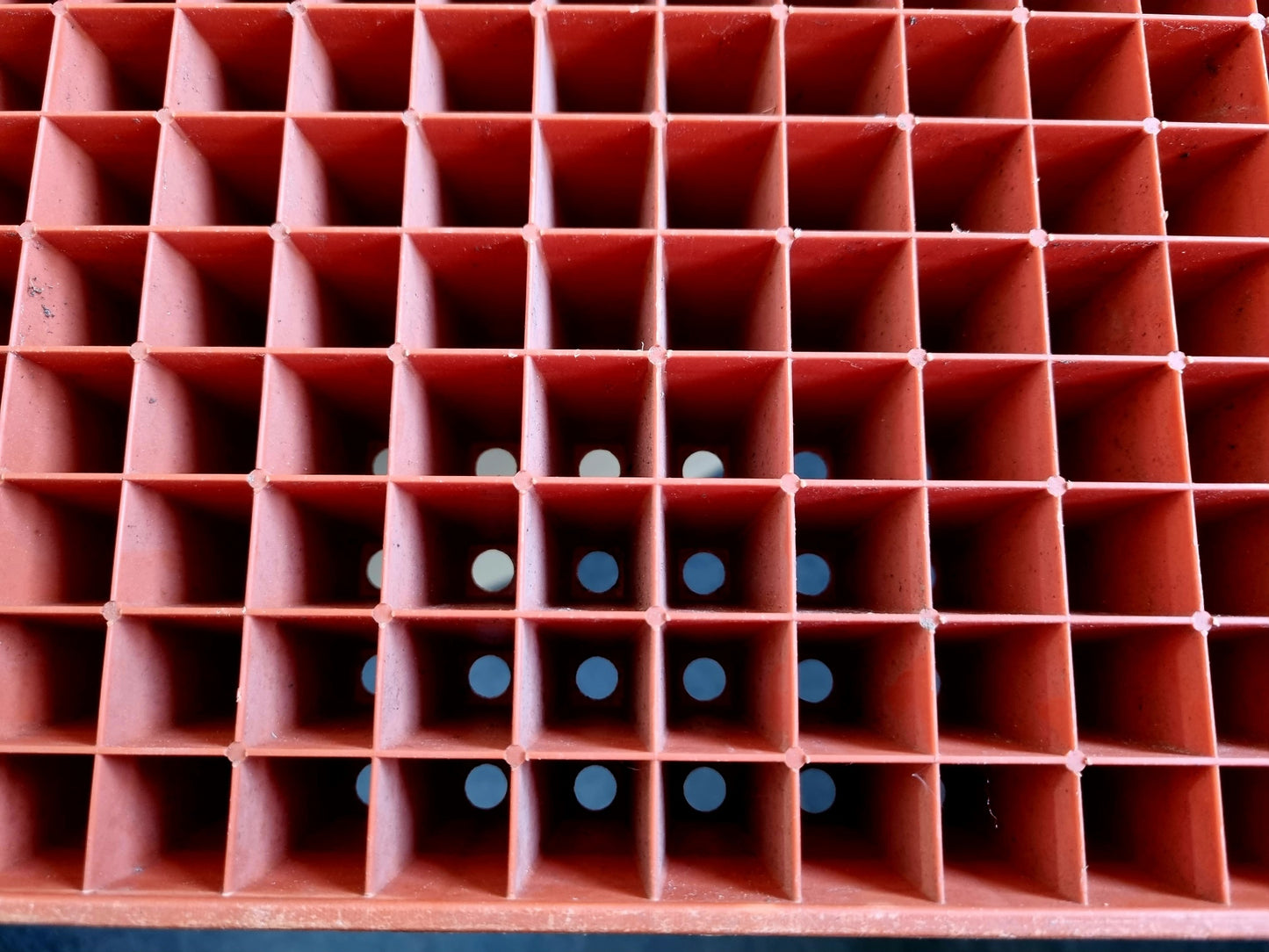 600 Cell Seed Starter Plant Tray - Plastic Reusable Long life