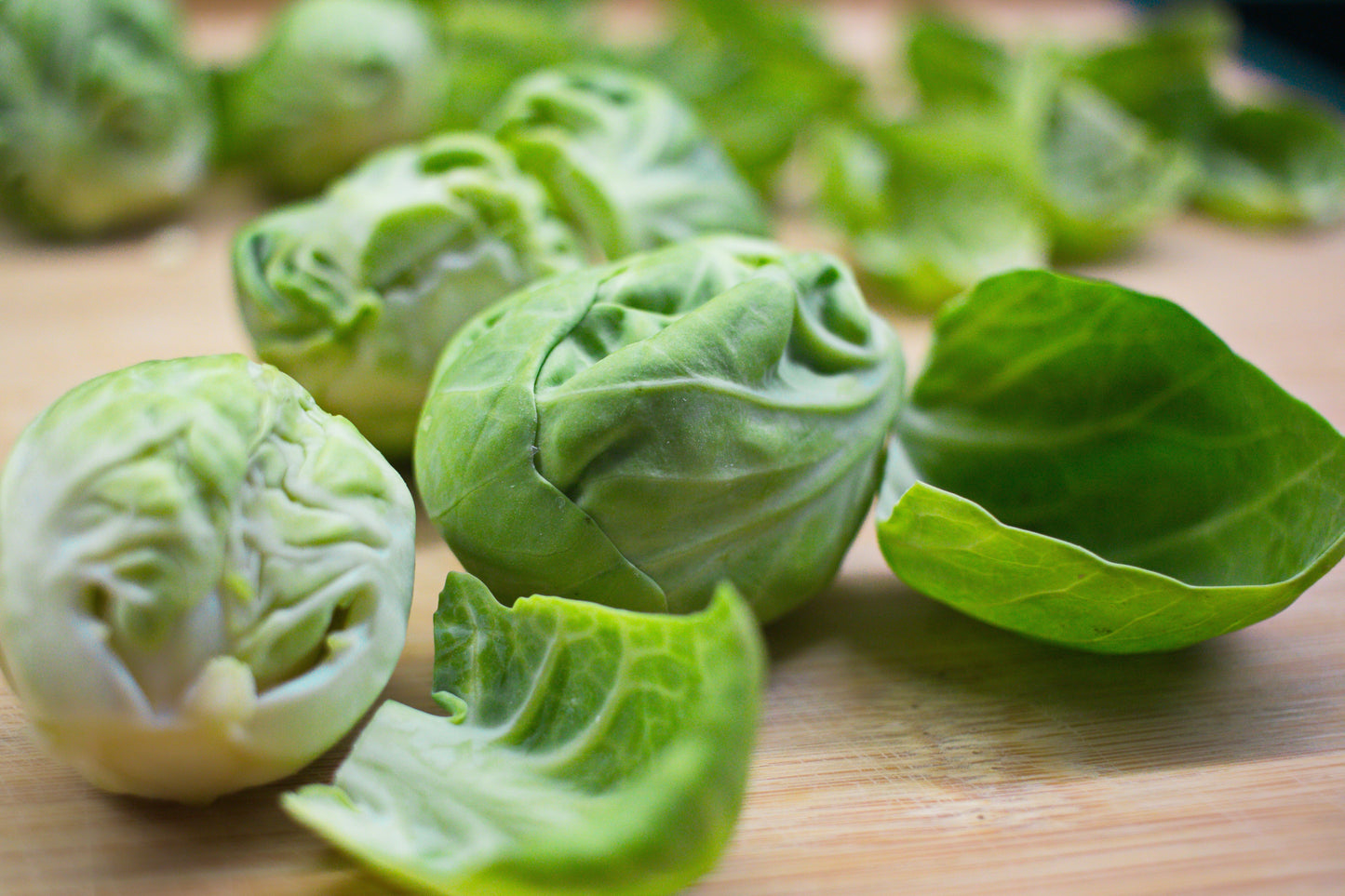 Brussels Sprout Plug Plants "Grow Your Own" Vegetables **Letterbox Friendly**