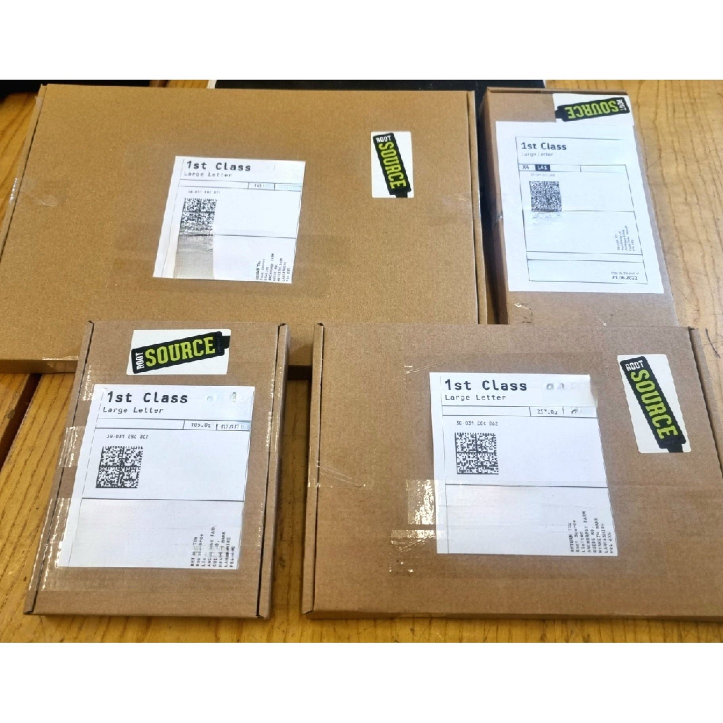 Red Cabbage Plug Plants - "Grow Your Own" Vegetables **Letterbox Friendly**