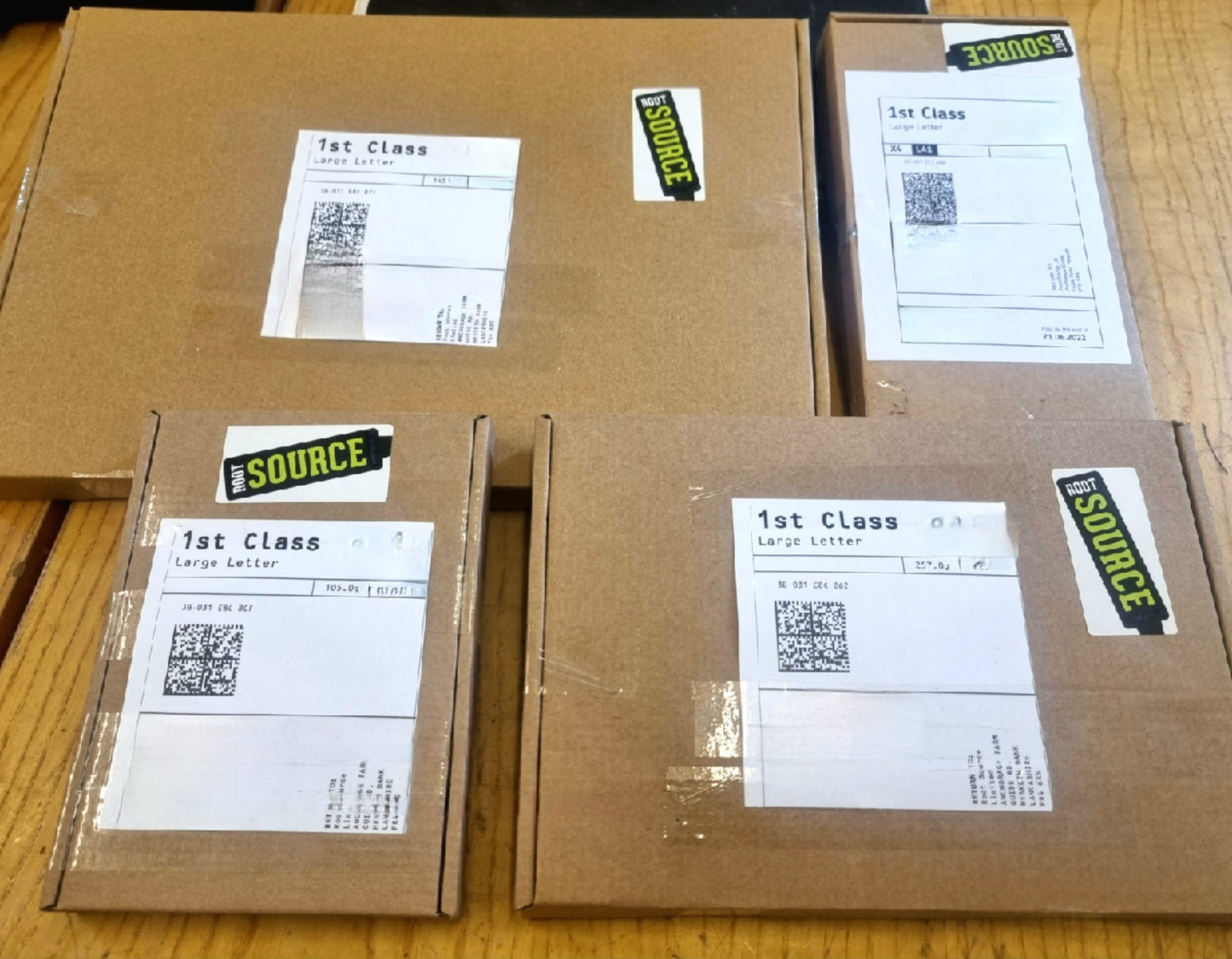 Red Cherry Tomato Plug Plants "Grow Your Own" Fruit 'Ready to Plant Now' Young Vegetable Plants **Letterbox Friendly**