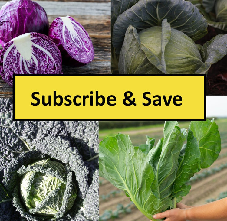 Root Source - Grow Your Own Plants 'ECO friendly packaging'