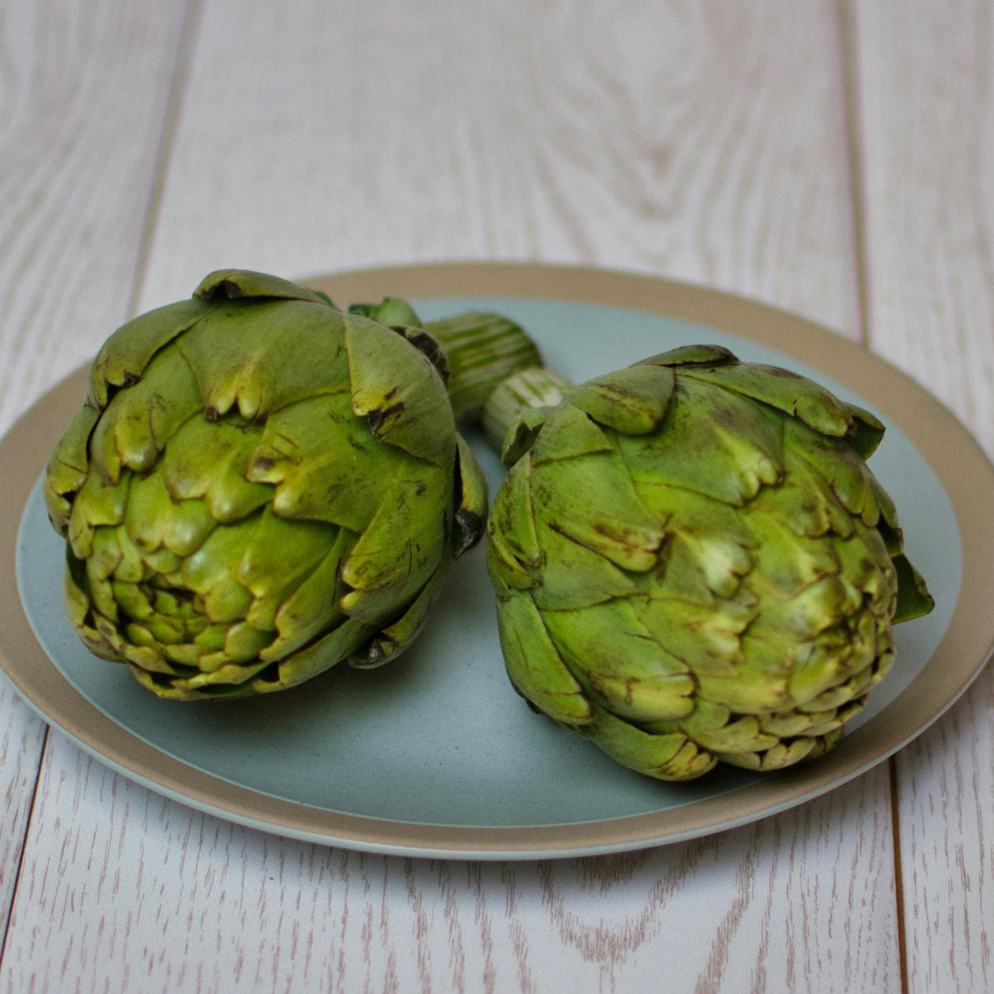 Artichoke Plug Plants "Grow Your Own" Vegetables 'Ready to Plant Now' Young Vegetable Plants **Letterbox Friendly**