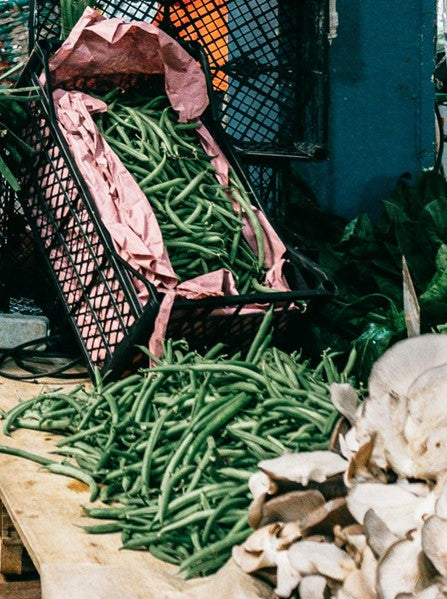 French Climbing Bean Plug Plants "Grow Your Own" Vegetables 'Ready to Plant Now' Young Vegetable Plants **Letterbox Friendly**