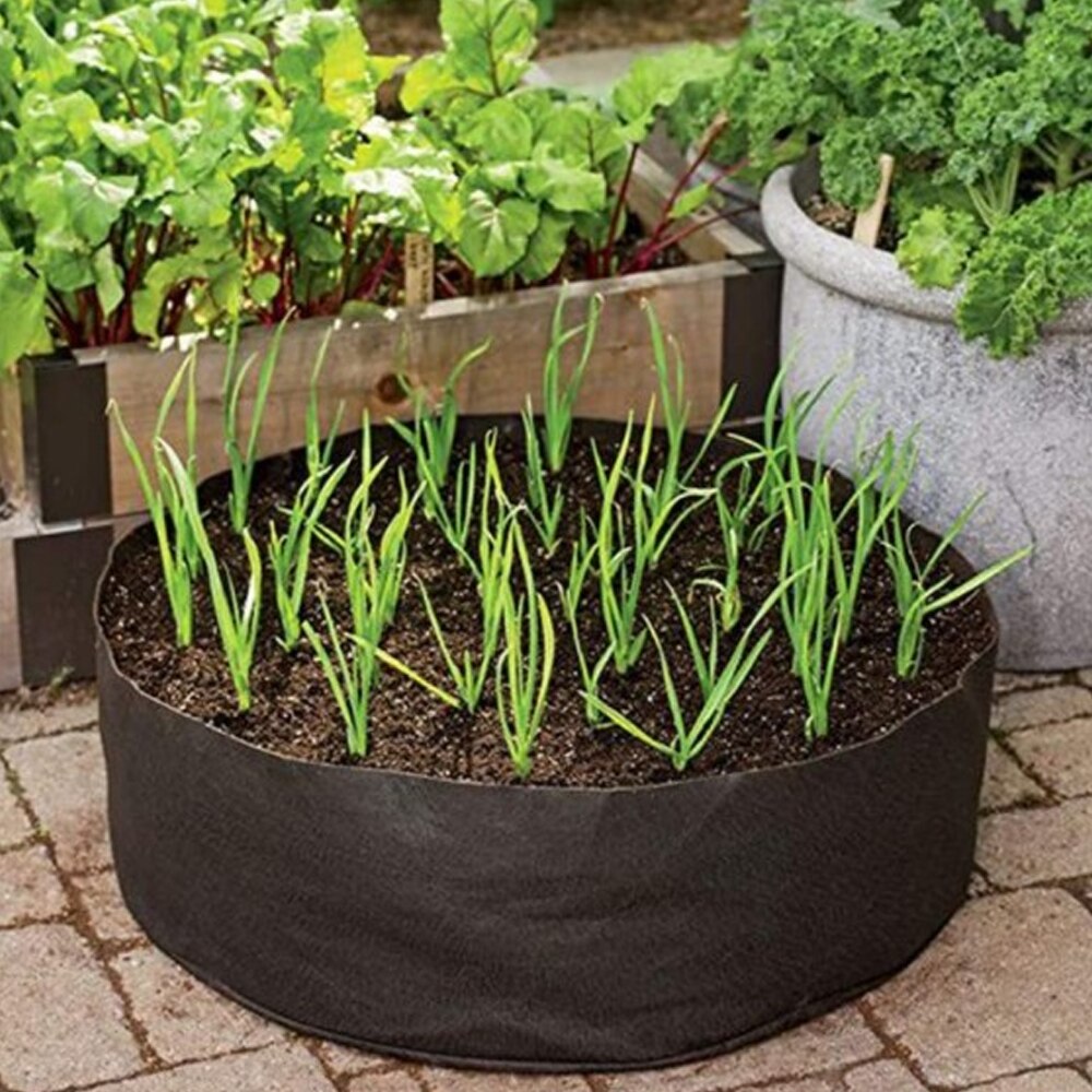 AIVY Growing Bags for Household Plants , Gardening Pots, Elevated Plant Beds, for Planting Flowers and Vegetables