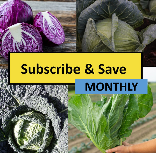 Monthly Subscription Box "Grow Your Own" Plug Plants Vegetables