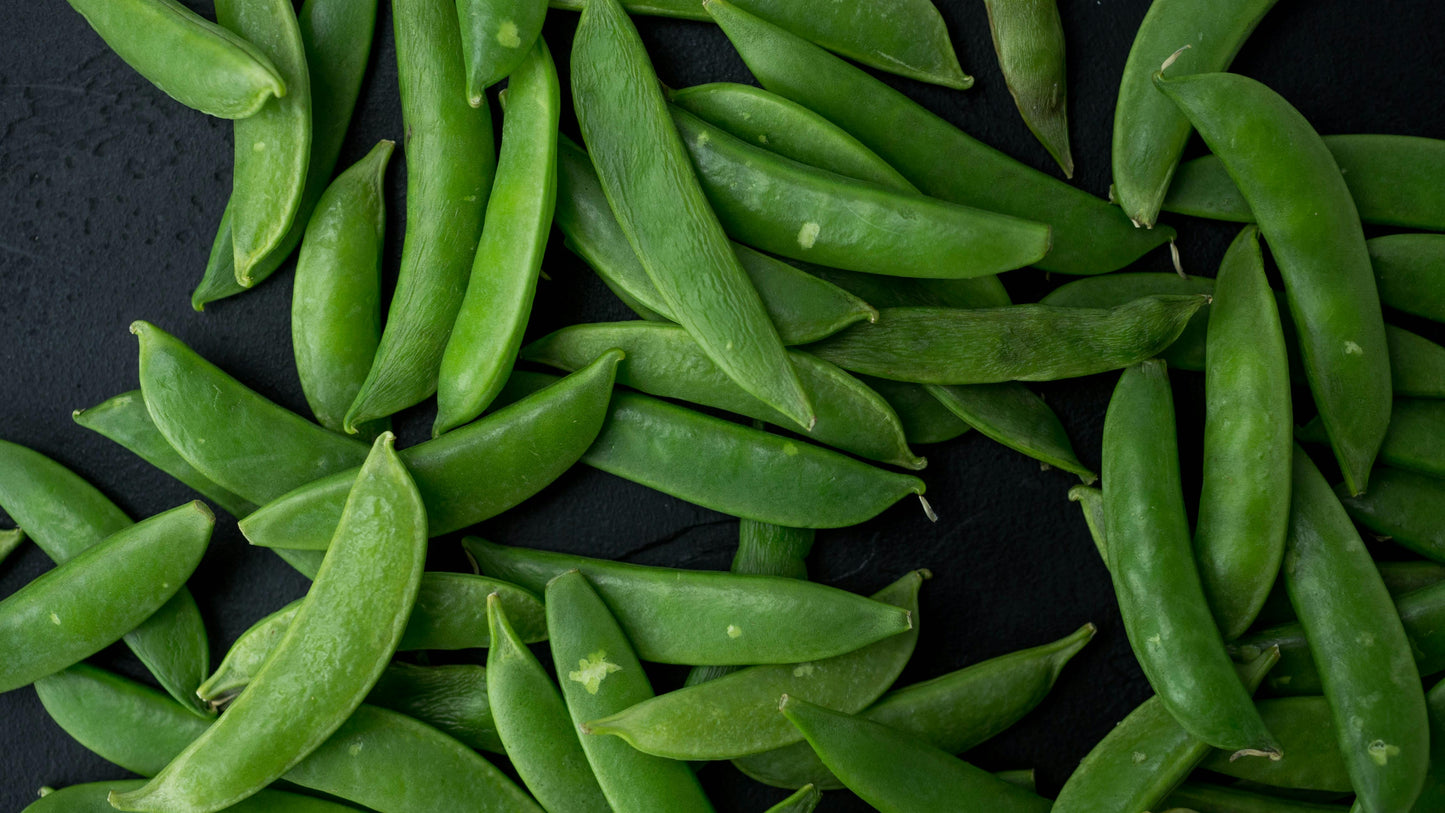 Sugar Snap Pea Plug Plants "Grow Your Own" Fruit 'Ready to Plant Now' Young Vegetable Plants **Letterbox Friendly** (Copy) (Copy)