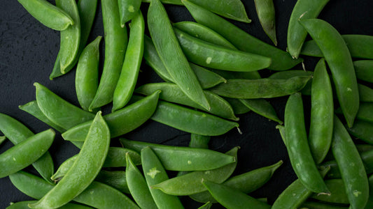Sugar Snap Pea Plug Plants "Grow Your Own" Fruit 'Ready to Plant Now' Young Vegetable Plants **Letterbox Friendly** (Copy) (Copy)