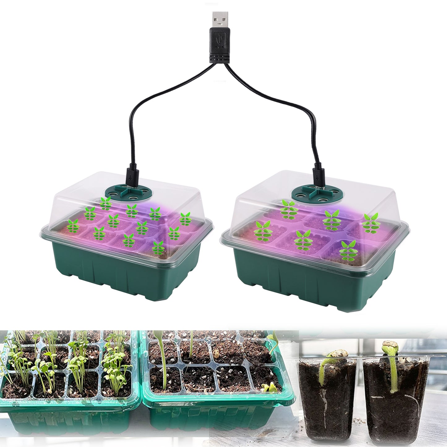 Seed Starter Tray Box With LED Grow Light Nursery Pot Seedling Germination Planter Adjustable Ventilation Humidity 6/12/13 Cell